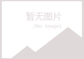 铁法盼夏音乐有限公司